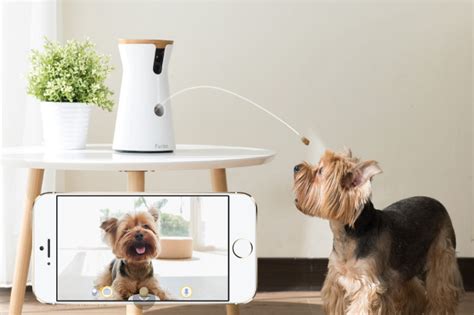 Furbo Dog Camera Treat Tossing Full Hd Wifi Pet Camera And 2 Way