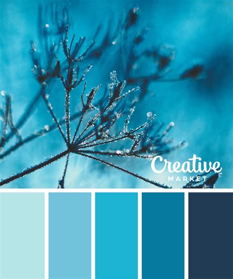 15 Downloadable Color Palettes For Winter Winter Color Palette Blue