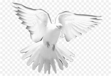 Holy Spirit Prayer Christian Church Clip Art Doves Png Download 835