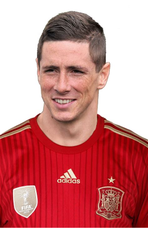 Fernando Torres Mundial 2014