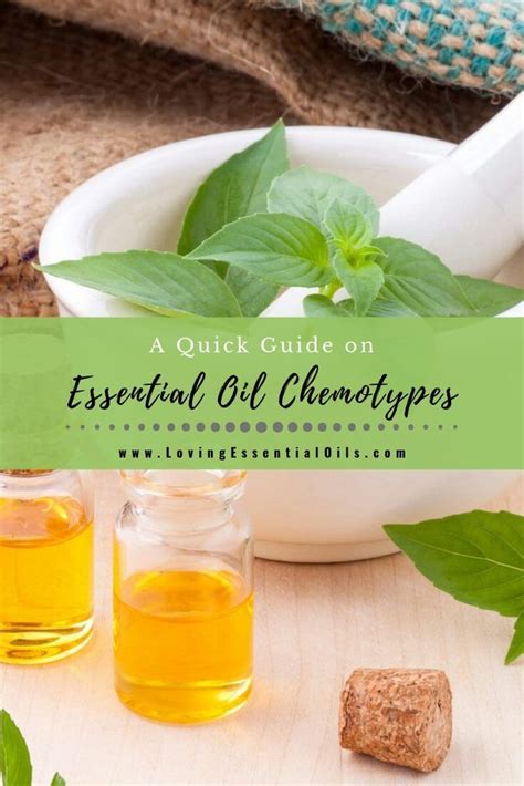 What are Essential Oil Chemotypes? - A Quick Guide in 2020 | What are essential oils, Essential ...