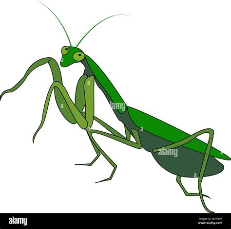 Green Mantis Illustration Vector On White Background Stock Vector