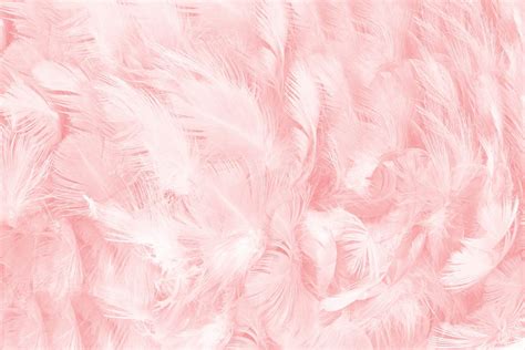 Pale Pink Wallpapers Wallpaper Cave
