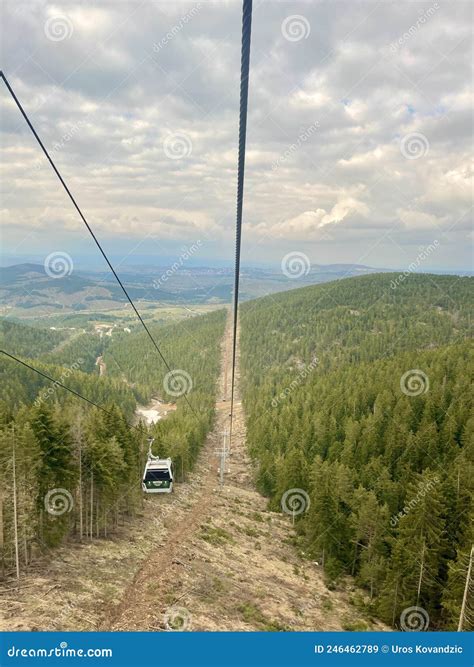 Forest At Zlatibor Mountain Stock Image Image Of Mountain Western