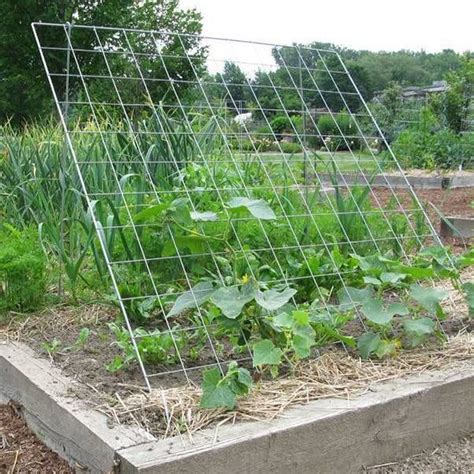 Check spelling or type a new query. Galvanized metal cucumber trellis with ten-shape for ...