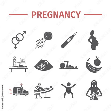 Pregnancy Icons Set Infographics Vector Signs For Web Graphics Stock Vector Adobe Stock