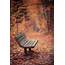 Have A Seat  Best Photo Background Love Images New