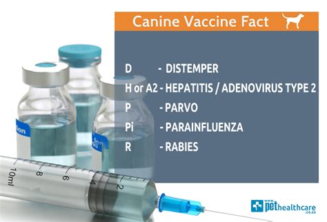 Top 10 Facts about Rabies | Pet Health CareTop 10 Facts About Rabies