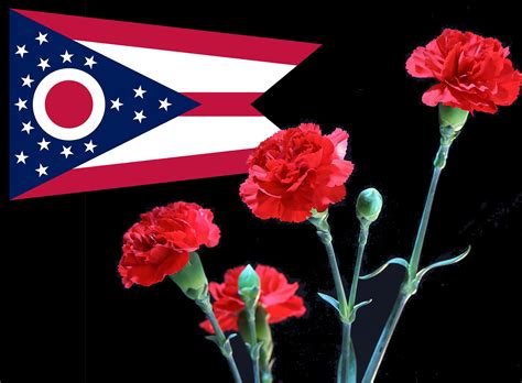 Ohio State Flower Geobops Symbols
