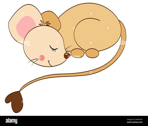 Cute Lovely Mouse Sleep Isolated Stock Photo Alamy