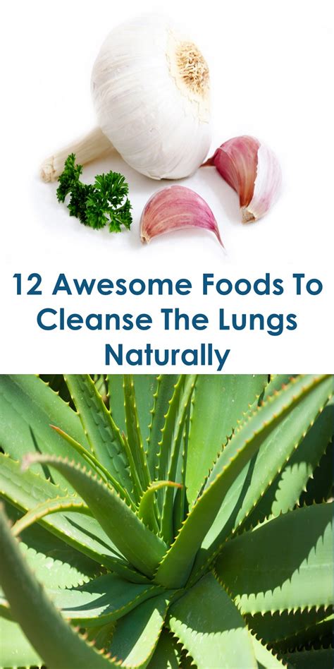 In fighting for your optimal health you can use nutritional support be diligent about protection by using high potency antioxidant supplements. 12 Awesome Foods To Cleanse The Lungs Naturally