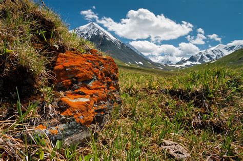 Altai Rocks Russia Altai Altai Mountains Russia