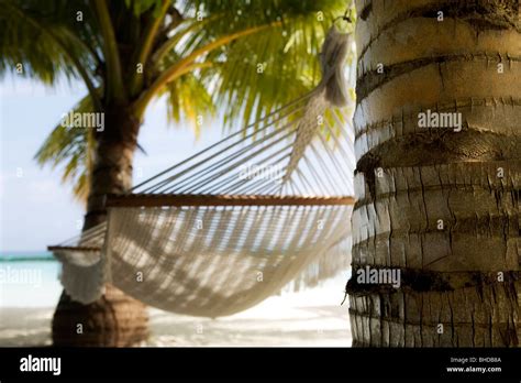 Relaxing Hammock On Maldives Beach Stock Photo Alamy