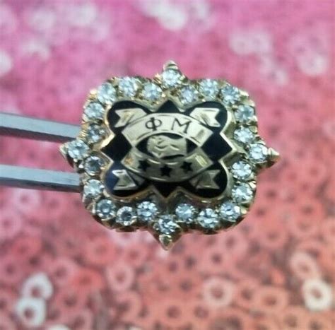 Phi Mu Diamond Fraternity Badge Pin Sorority In 2021 Jewelry Show