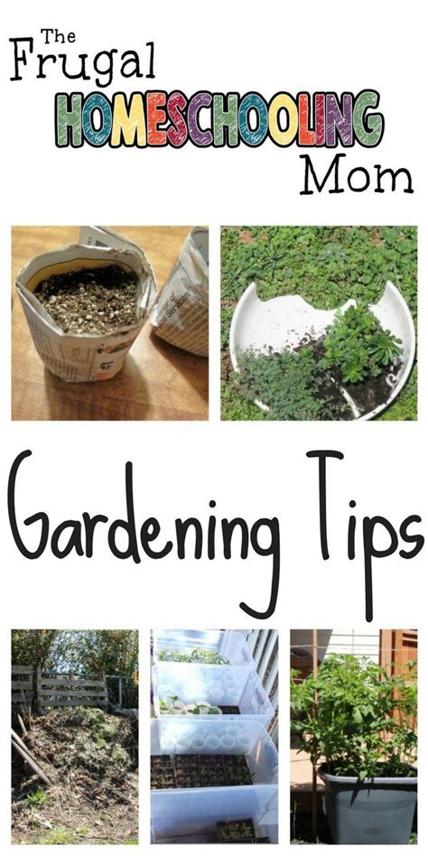 Frugal Gardening Tips For Busy Moms The Frugal Homeschooling Mom