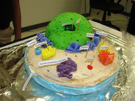 View all cake themes ». EDIBLE PLANT CELL PROJECT ~ CAKE | Florida Science | Flickr