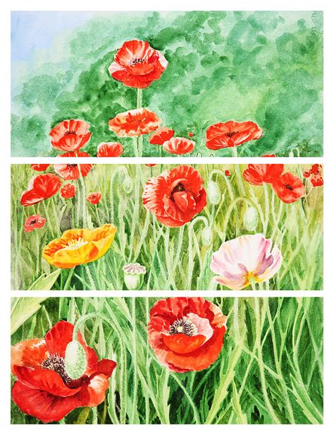 Poppies Collage Ii Painting By Irina Sztukowski Fine Art America
