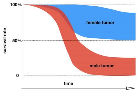 Sex Specific Proteins Linked T [image] Eurekalert Science News Releases