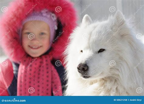 Child With A Favourite Dog Stock Photo Image Of Cute 50621258
