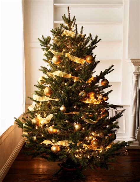 Light is hard for people to imagine. Here are the 3 best ways to hang Christmas tree lights ...