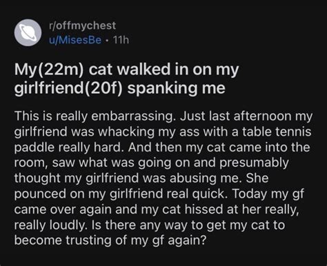 Alma On Twitter “my Cat Walked In On My Girlfriend Spanking Me”
