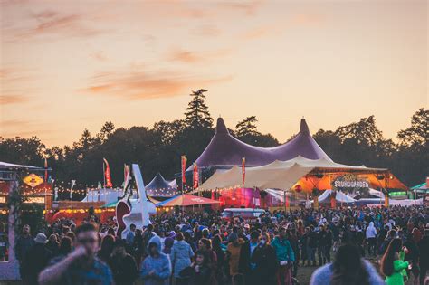 electric picnic gallery electric picnic 2019