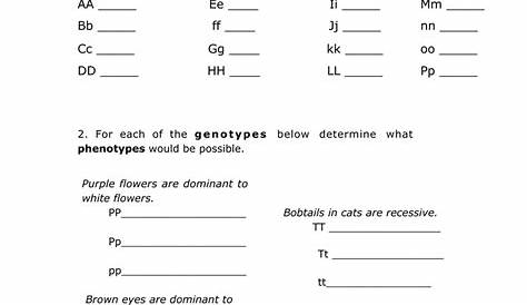 Genetics Practice Problems - Simple Worksheet (He) (Ho) AA
