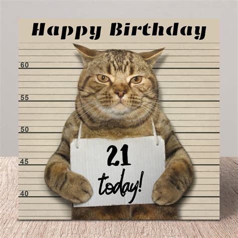 21st Birthday Card Funny Cat 21 Birthday Card Funny Cat Etsy Uk