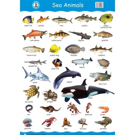 Sea Animals Wall Chart Educational Poster For Kids