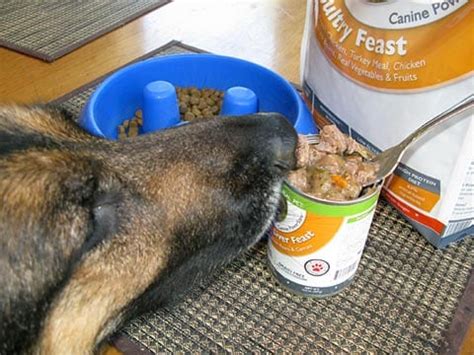 Find the best natural foods, supplements, treats and more. Only Natural Pet's New Grain-Free Canned Dog Food is # ...