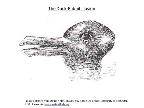 Mind Games How Optical Illusions Can Fool Your Brain