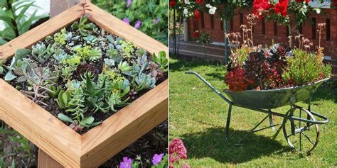 Con estas ideas, ¡tu casa será puro arte! 50 ideas para decorar con plantas suculentas | Plantas