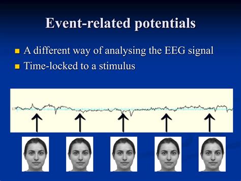 Ppt Basis Of The Meeg Signal Powerpoint Presentation Free Download
