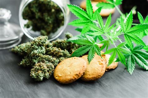 Gmo Cookies Cannabis Strain Review Industrial Hemp Farms