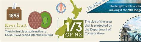 30 Interesting Facts About New Zealand Infographic