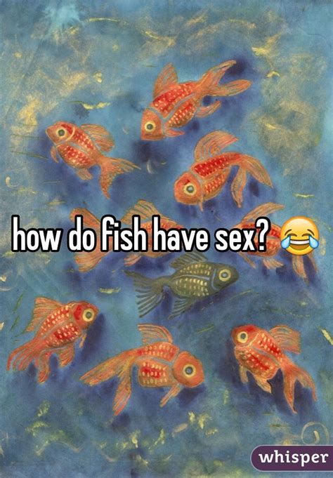 How Do Fish Have Sex 😂