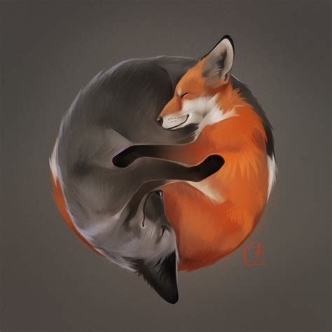 Foxes By On Deviantart Fox Fox