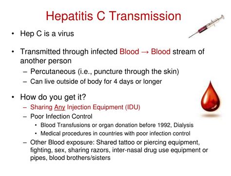 Hepatitis A Transmission Blood Viral Hepatitis Causes Prevention