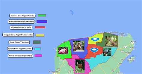 Fauna Endemica De Yucatan Scribble Maps Sexiz Pix
