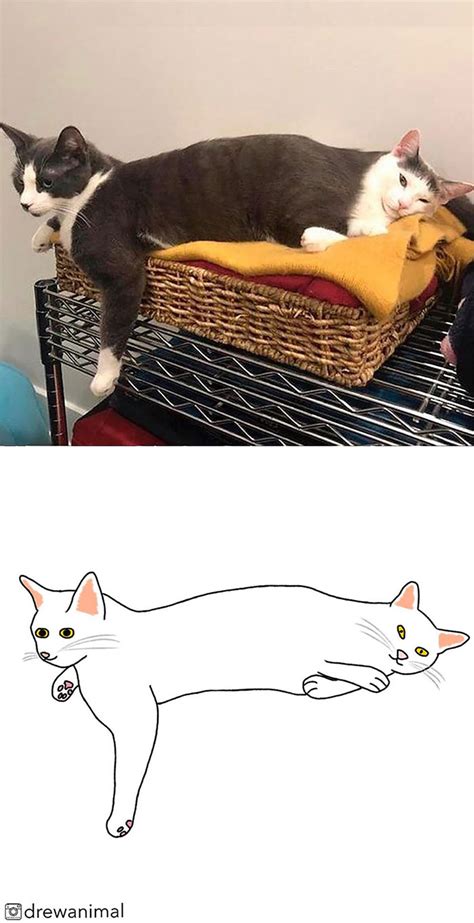 Artist Transforms Funny Cat Pics Into Illustrations And Here Are 70 Of