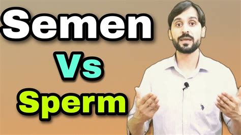 difference between semen and sperm youtube