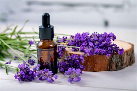 How To Make Lavender Essential Oil Easy Recipe