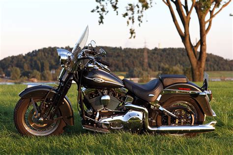 sm=feedback.gif i'm thinking of converting my black 2003 softail standard to a heritage springer with floorboards, butterfly shift, and a chrome harley springer front end. Harley-Davidson Heritage Softail Springer