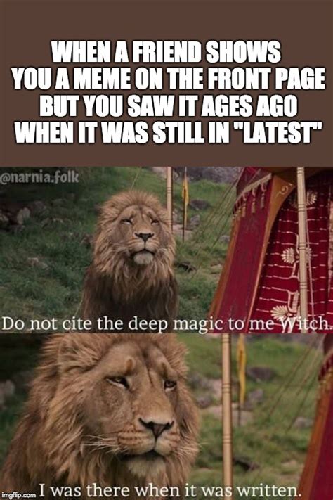 Narnia Memes Clean