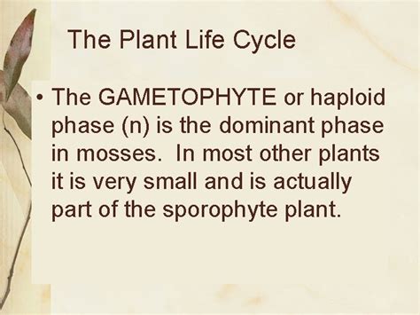 Classification Of Plants The Plant Life Cycle A
