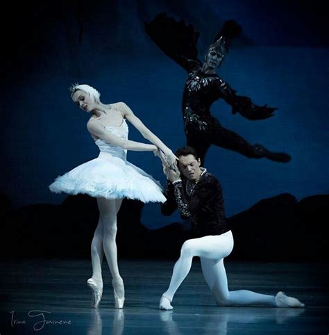 Ulyana Lopatkina Swan Lake Photo By Irina Tuminene Male Ballet