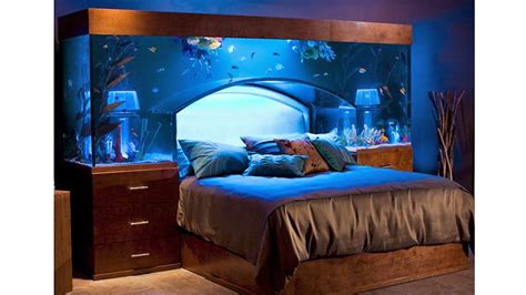You'll receive email and feed alerts d1 resin brown cat glass fish tank bedroom living room desktop decor 29x22.5cm z. Stunning Aquarium Bed Redefines Sleeping With The Fishes ...