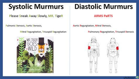systolic and diastolic murmurs mnemonics step1