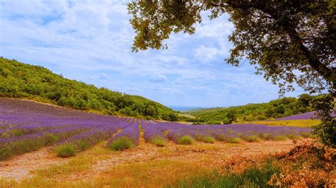 France Scenery Wallpapers Top Free France Scenery Backgrounds