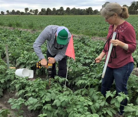 Agent And Grower Perspectives On Soil Moisture Sensors For Irrigation